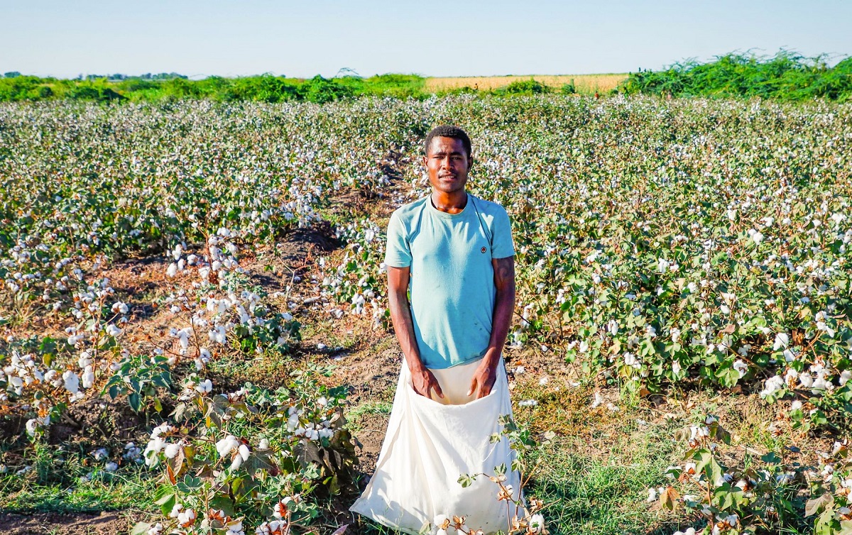 Climate Change Traps Cotton Farmers in a Cycle of Poverty